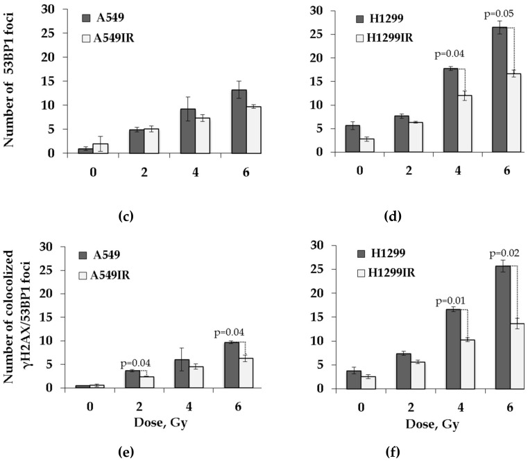 The p53–53BP1-Related Survival of A549 and H1299 Human Lung Cancer ...