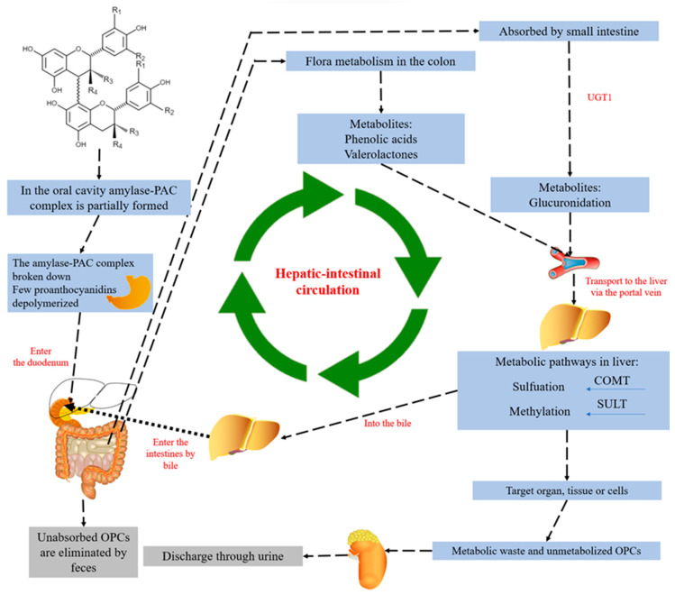 Figure 6