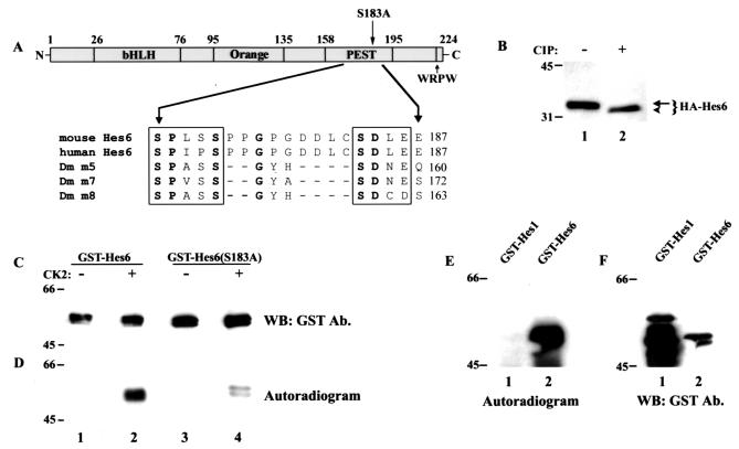 FIG. 9.