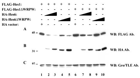 FIG. 5.