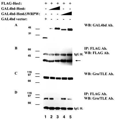 FIG. 4.