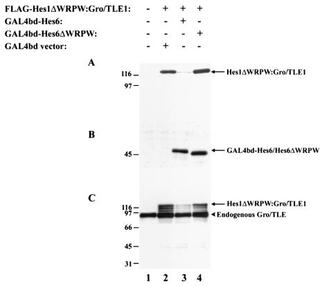 FIG. 8.