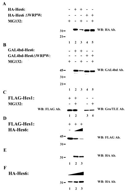 FIG. 6.