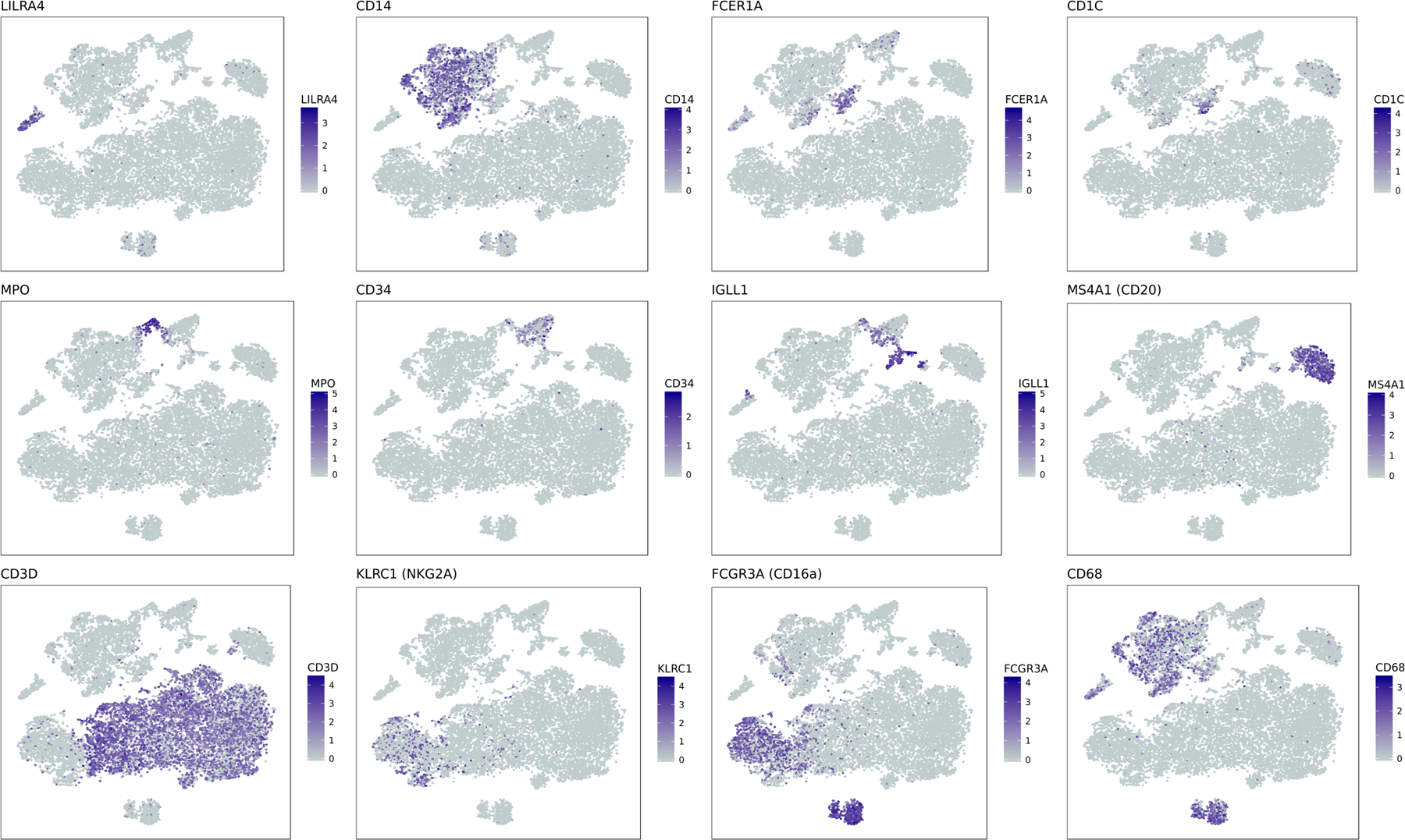 Extended Data Figure 1.