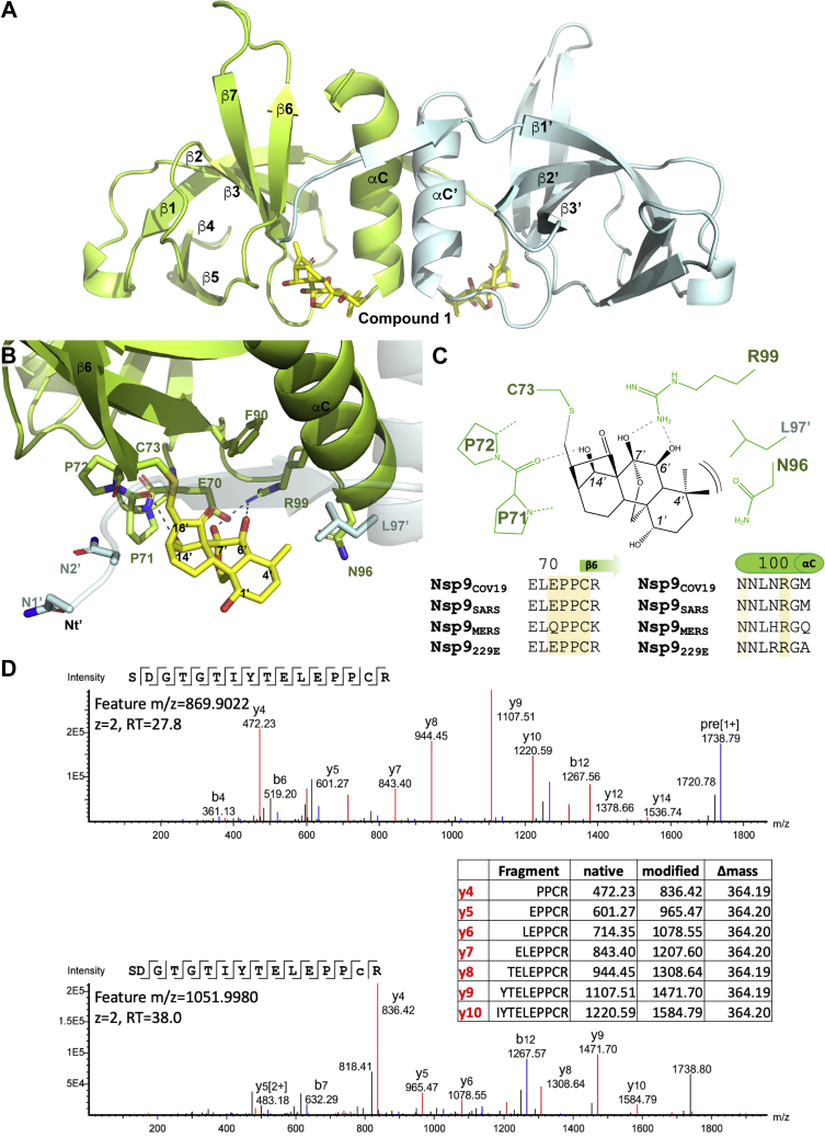 Figure 2