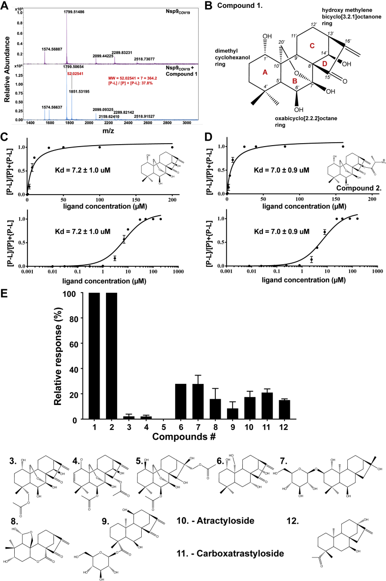 Figure 1