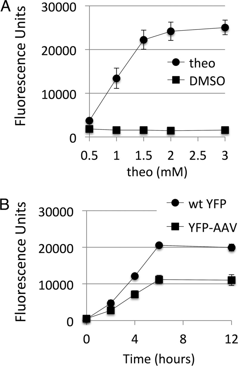 FIG 3