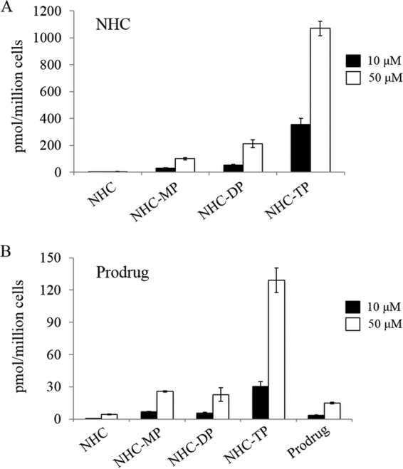 FIG 2