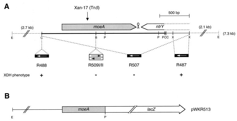 FIG. 1