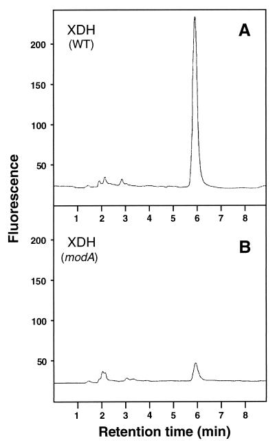 FIG. 6