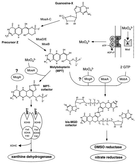 FIG. 7