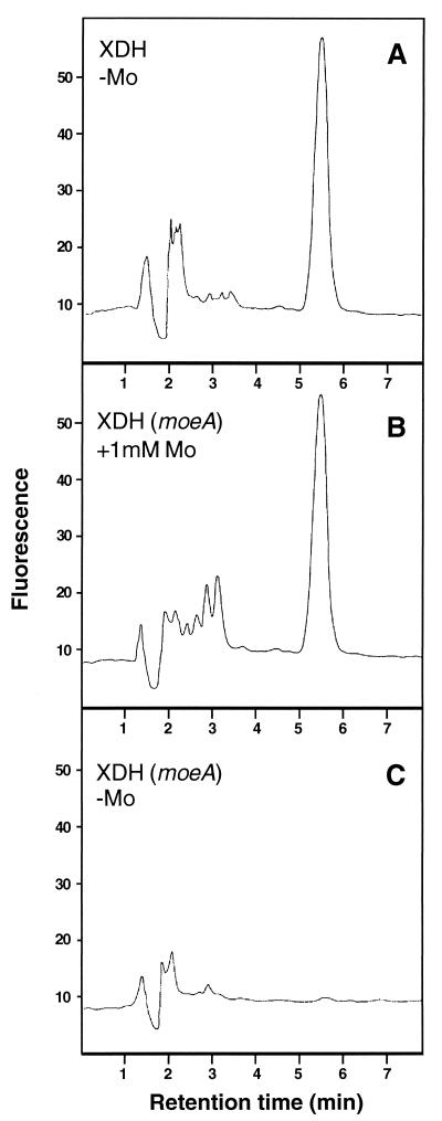 FIG. 4