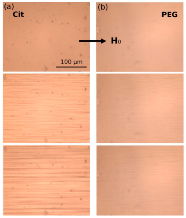 Figure 28