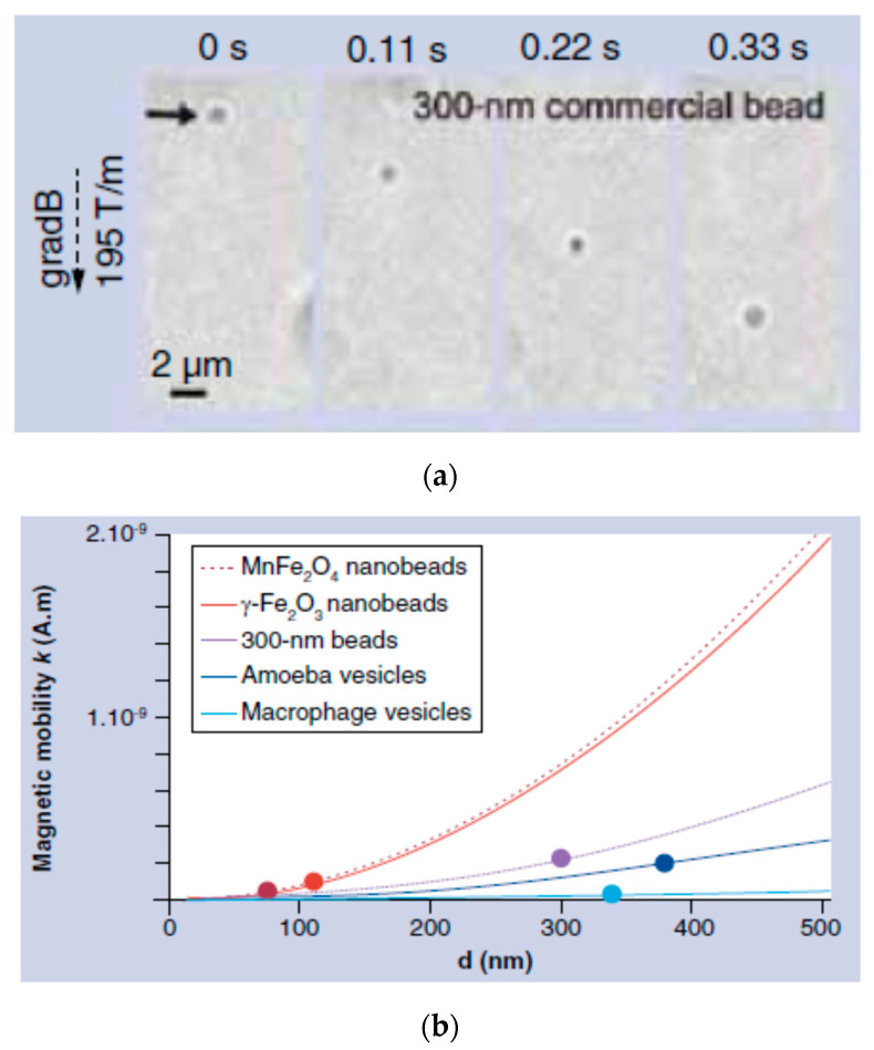 Figure 25