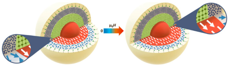 Figure 17