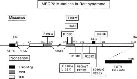 Figure  2