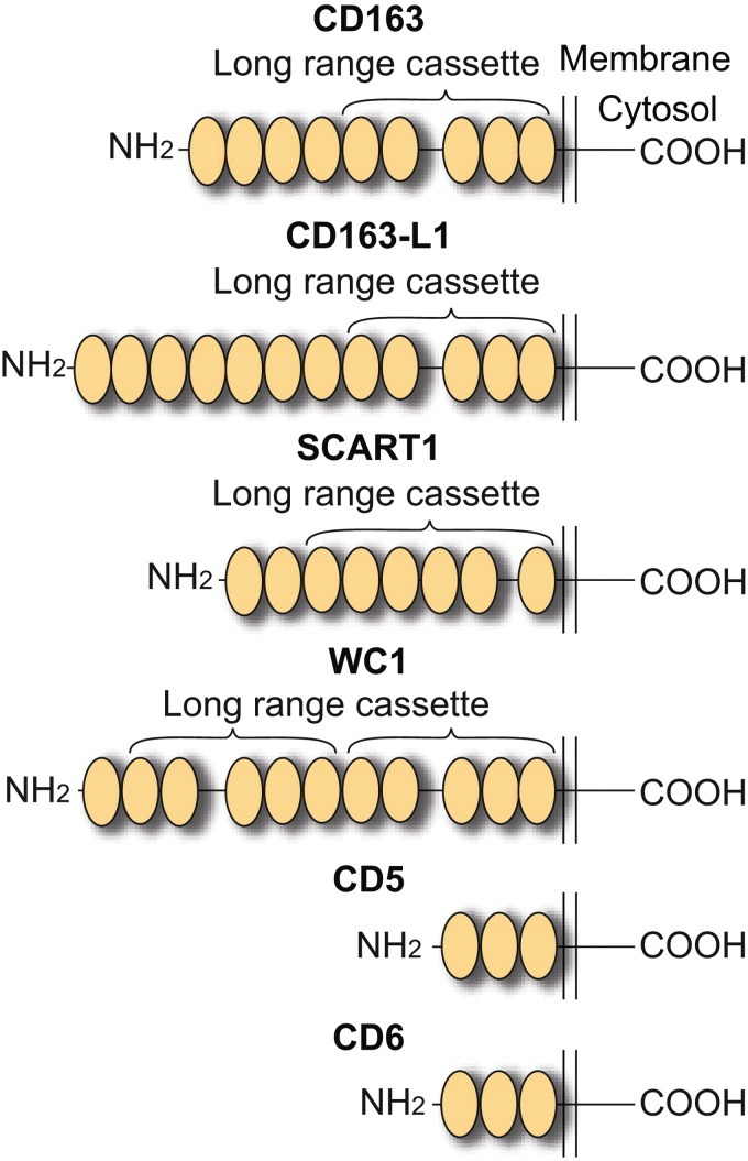 FIG. 1.