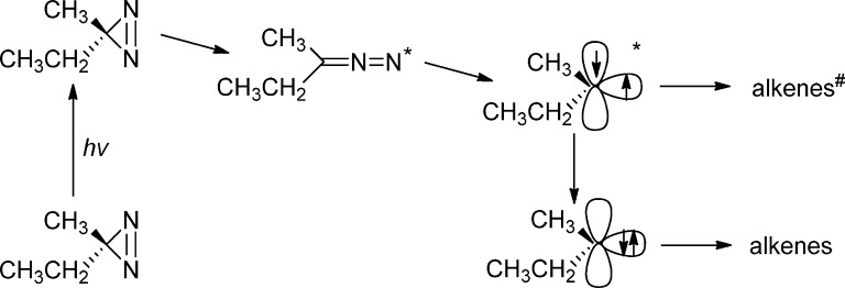 Scheme 6