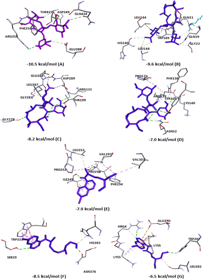 Fig 5