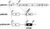 FIG. 1