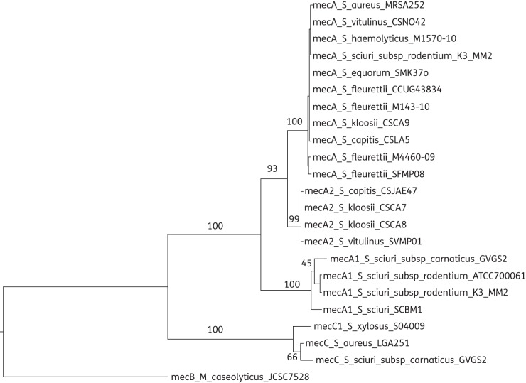 Figure 3.