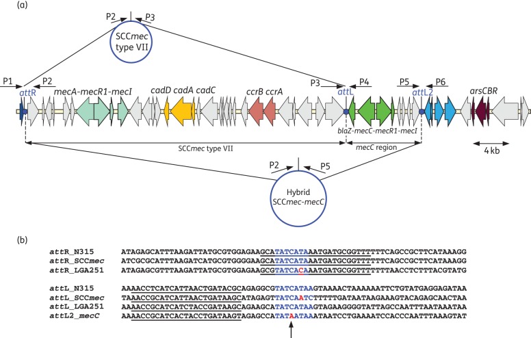 Figure 2.