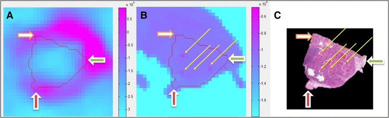 Fig. 8