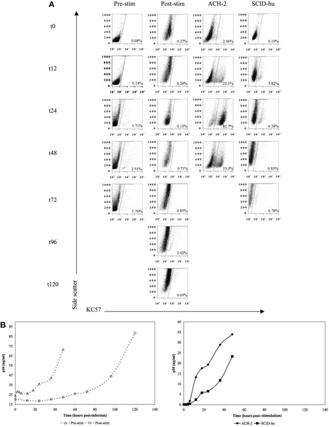 FIG.3.