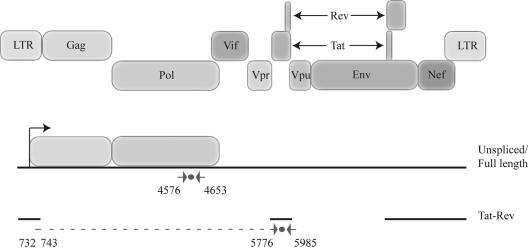 FIG. 1.