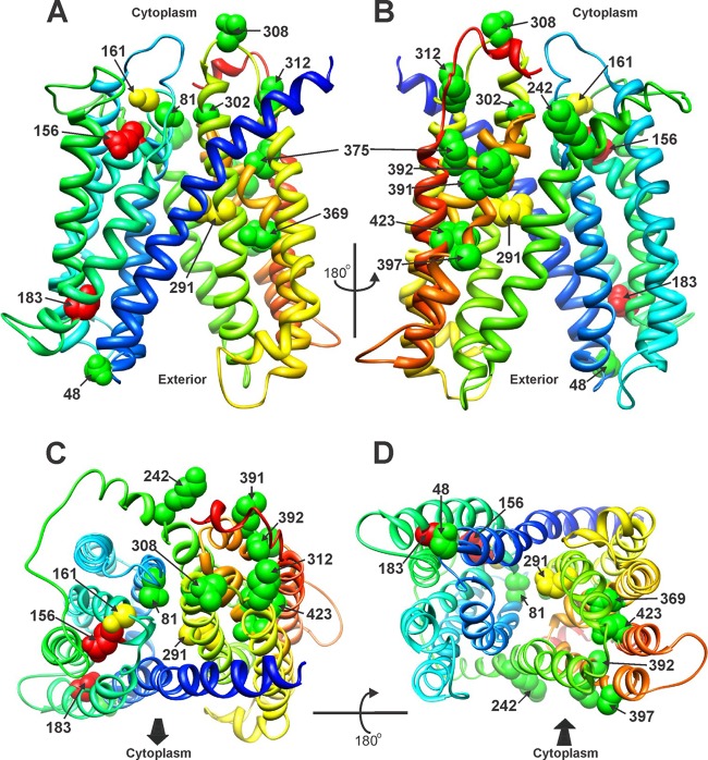 Fig 3