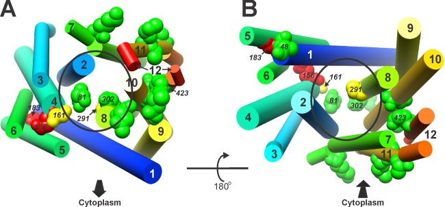 Fig 4