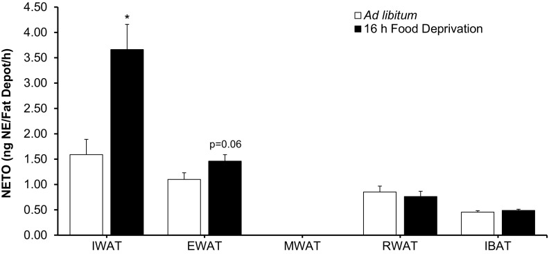 Fig. 9.