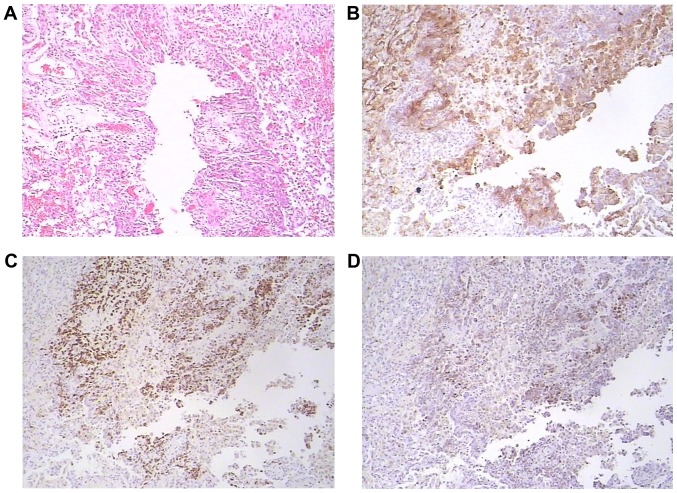 Figure 4.