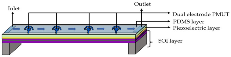 Figure 20