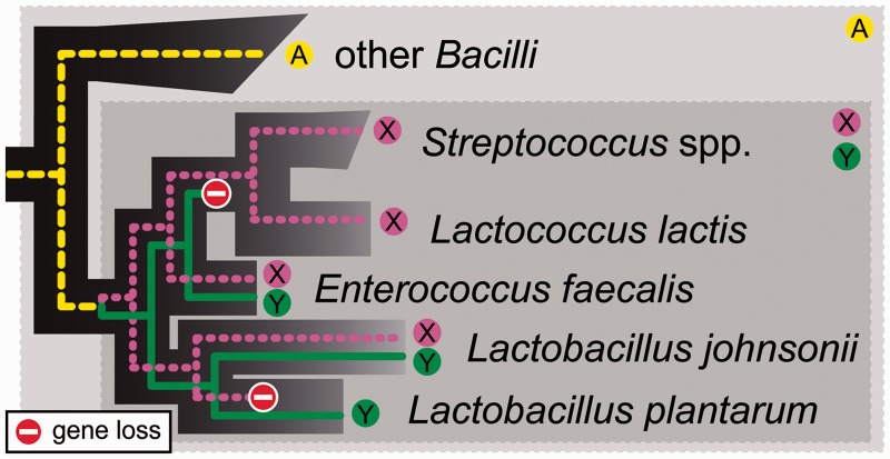 Figure 1: