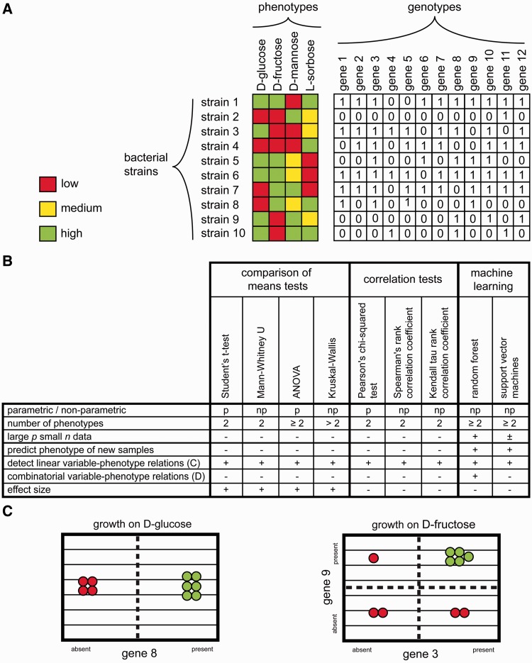 Figure 3: