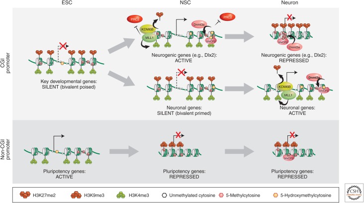 Figure 2.