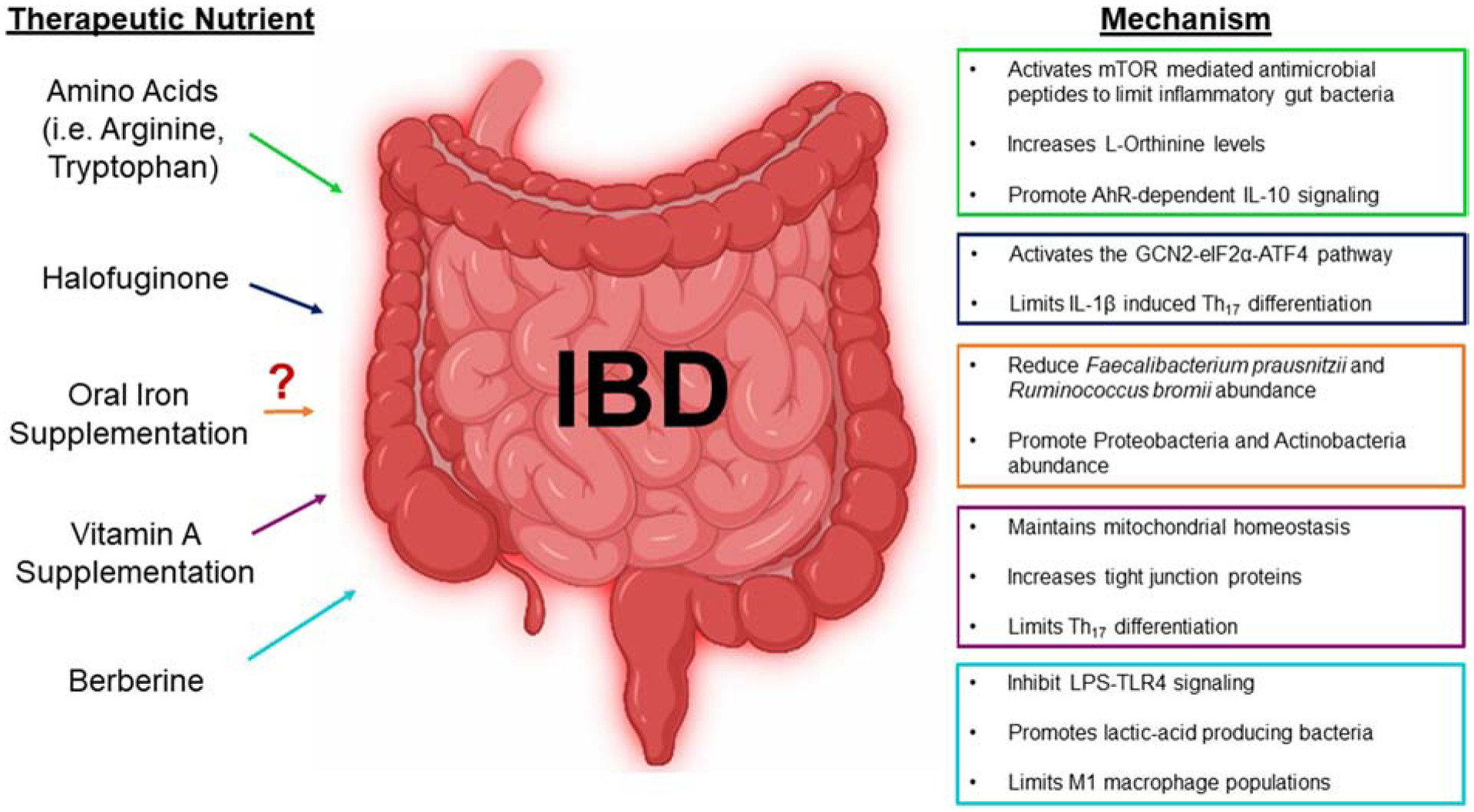 Figure 2: