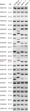 Figure 3—figure supplement 1.