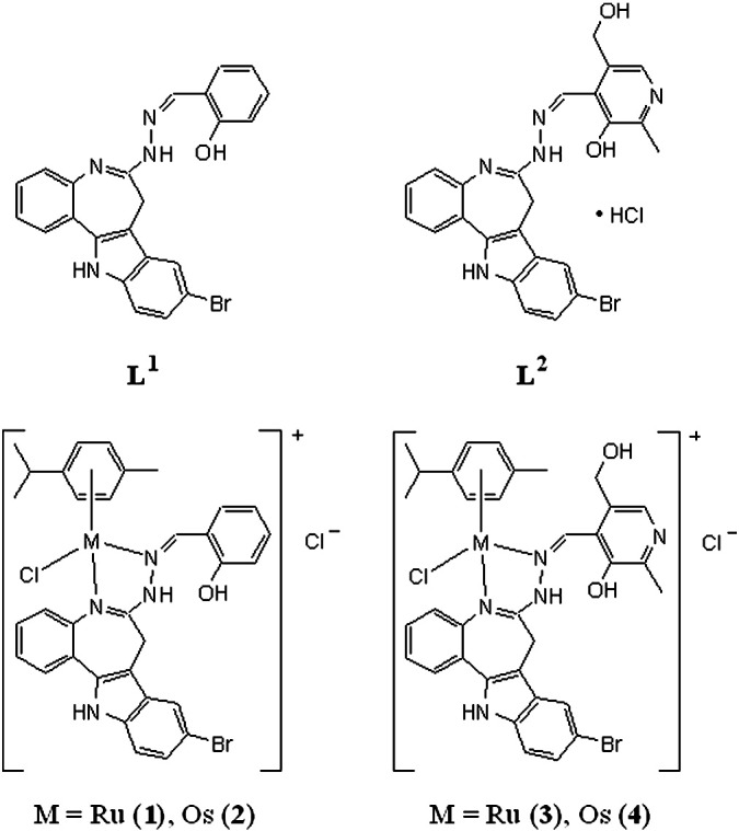 Fig. 1