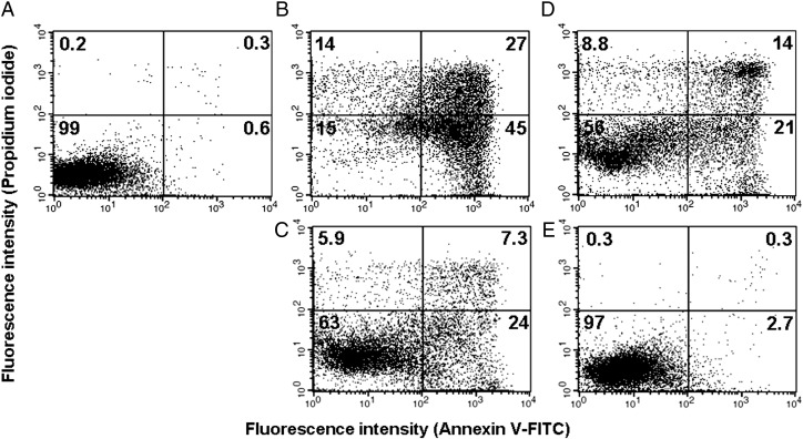 Fig. 6