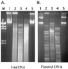FIG. 6