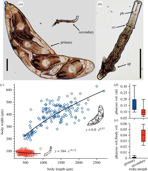 Figure 1.