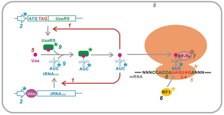 Figure 5