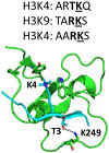 Figure 23.