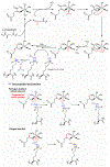 Figure 28.
