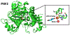 Figure 29.