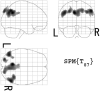 Fig 1.