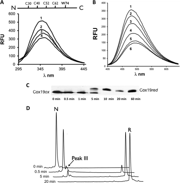 FIGURE 1.