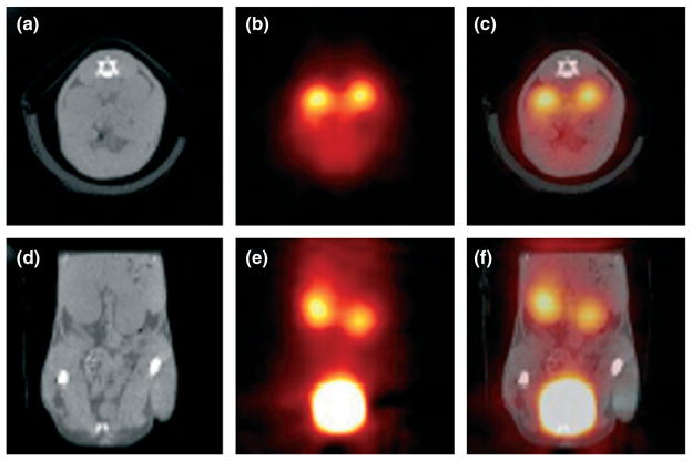 FIGURE 10